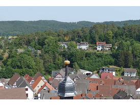 Der Wetterhahn auf St. Crescentius (Foto: Karl-Franz Thiede)